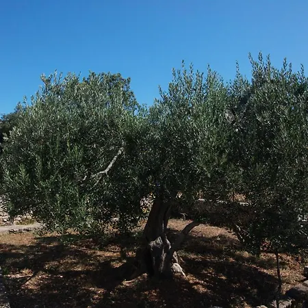 Apartamento With Parking Space Razanj, Rogoznica - 21124 Ražanj