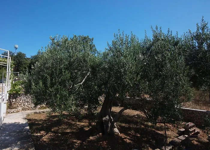 Apartamento With Parking Space Razanj, Rogoznica - 21124 Ražanj